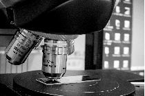 弊社はこれまでに、大学の研究開発の成果や、メーカーの新消品発表におけるプレスリリース作成・配信を手掛けてきました。そのため、医療・化学・素材・デバイス・製法・AIなど、科学技術に関するプレスリリースの作成・配信も可能です。