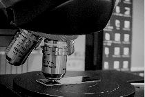 弊社はこれまでに、大学の研究開発の成果や、メーカーの新消品発表におけるプレスリリース作成・配信を手掛けてきました。そのため、医療・化学・素材・デバイス・製法・AIなど、科学技術に関するプレスリリースの作成・配信も可能です。